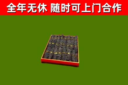 五指山市回收海参